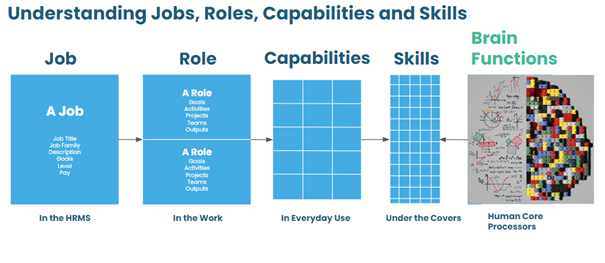 skills based hiring based on skills